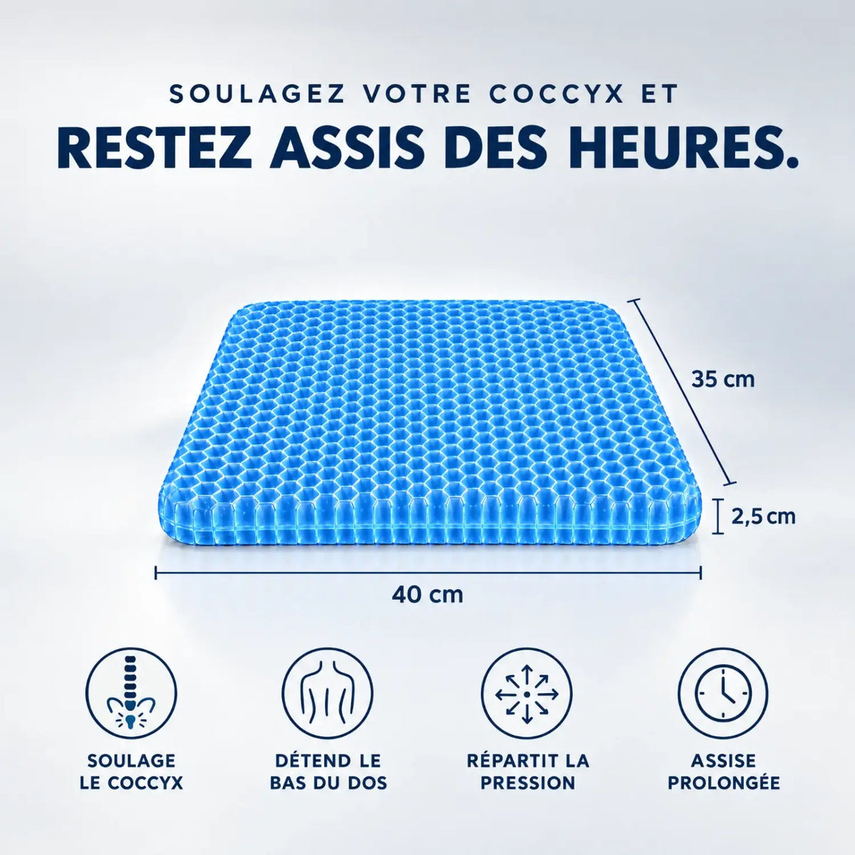 ErgoConfort+
